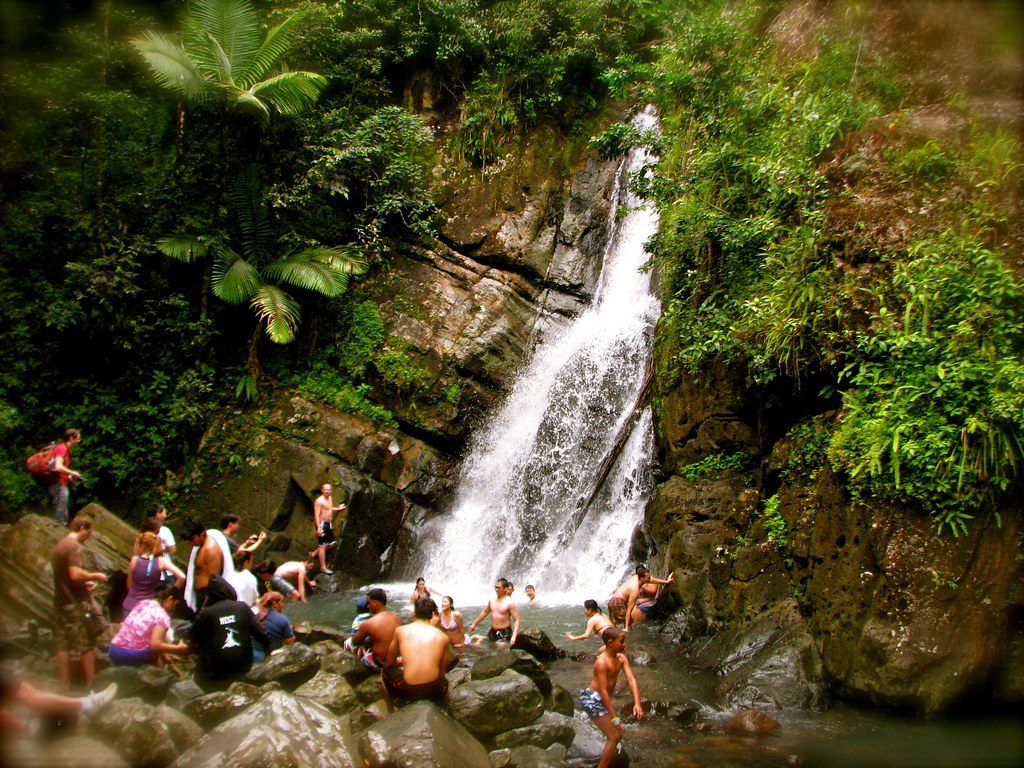 Puerto Rico Rainforest Joy of Serenity Travel