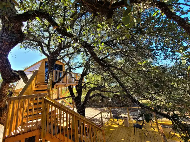 Treehouse Travel Joy of Serenity Travel