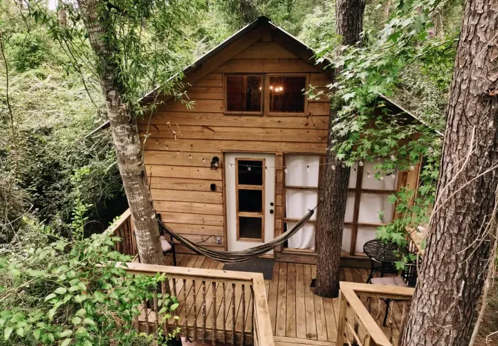 Treehouse Adventures Joy of Serenity Travel